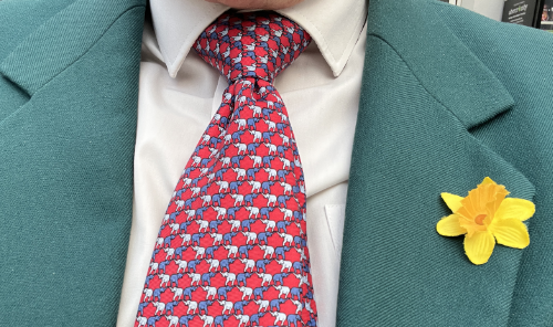 Elephant Tie