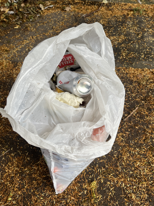 Bag of Rubbish