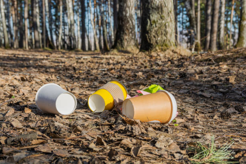 Litter in Inverness